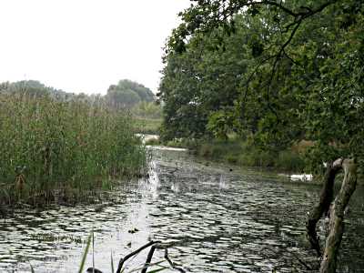 zum Schwarze Elster Radweg