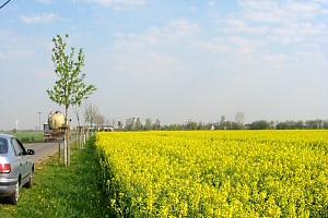 Raps im Jessener Land