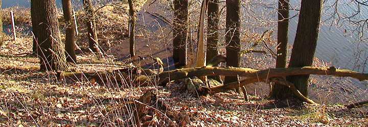 Schwarze Elster Wanderweg