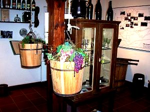 Weinbauausstellung