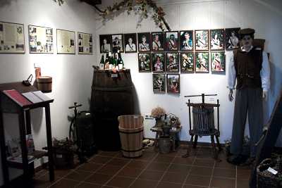 Weinbauausstellung in Jessen